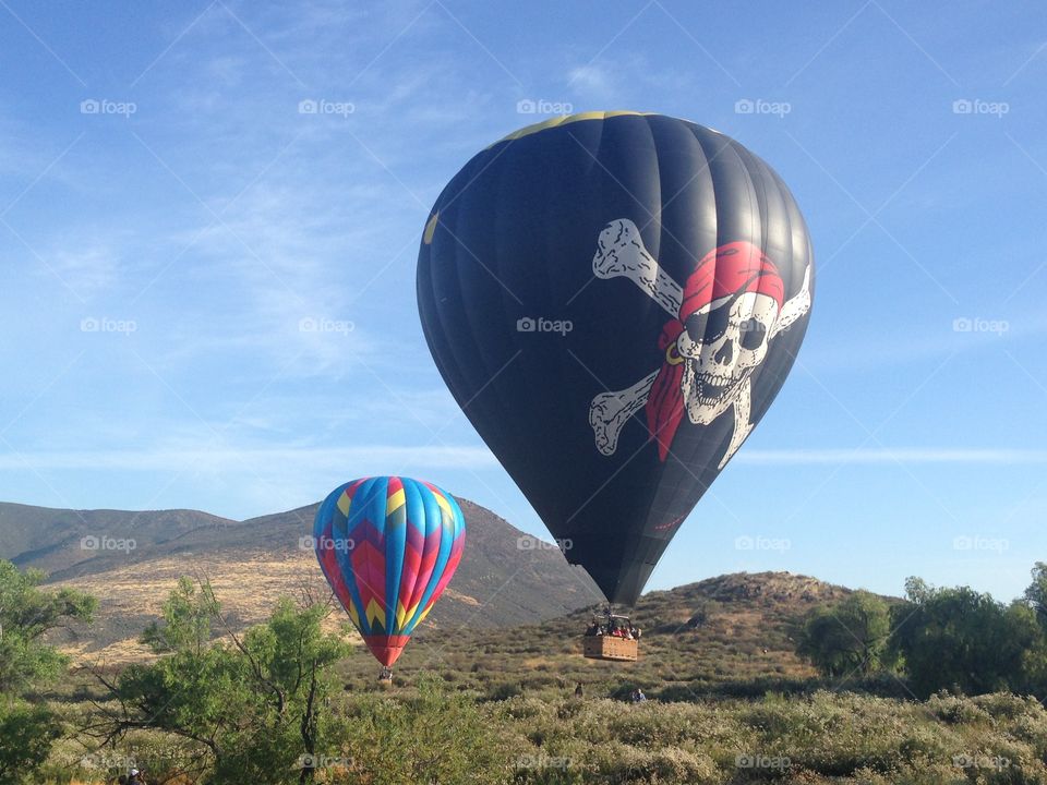 Hot Air Balloon Festival in Temecula, CA