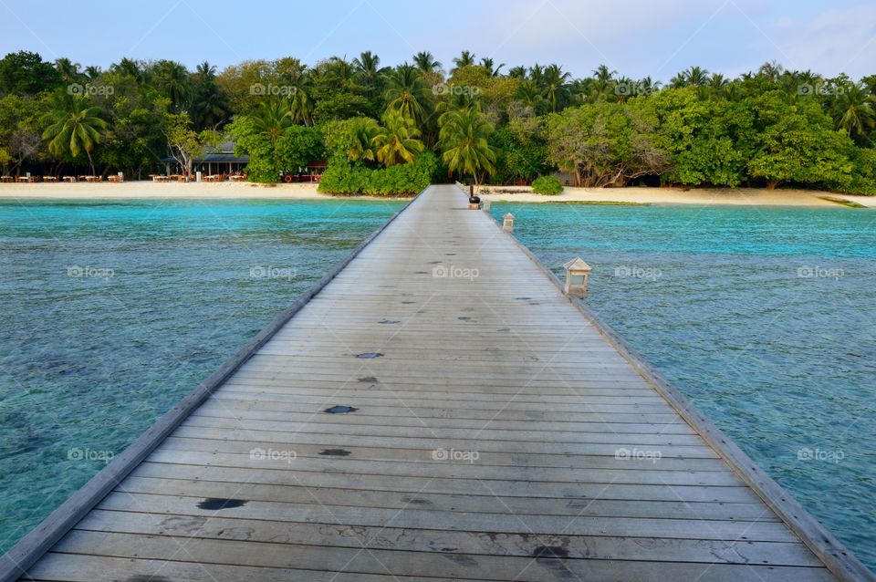 Skyline of a tropical island