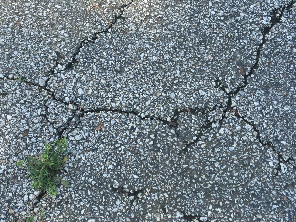 Life between Cracks