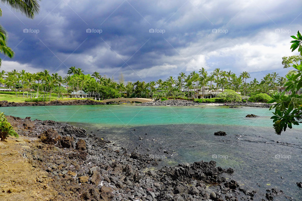 storm cloud, palm trees