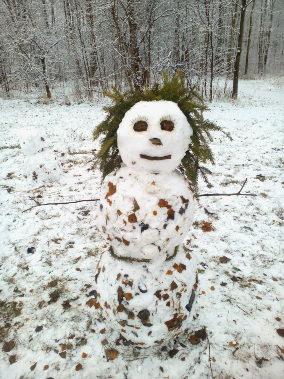 Winter, Snow, Wood, No Person, Frost