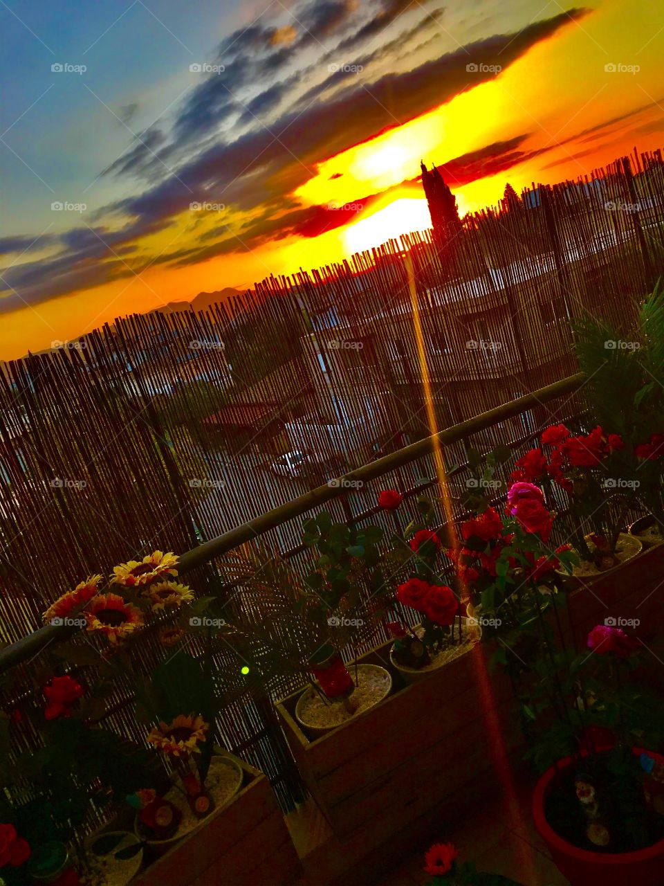 My Magic World Through My Eyes ..!!