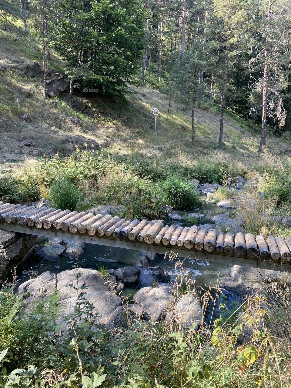 Wood bridge
