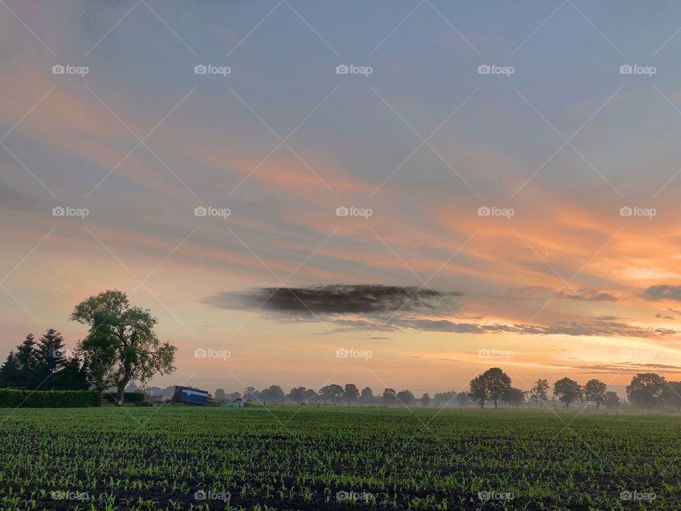 Dark spot of one black cloud in a sky of soft colors on a sunrise or sunset over a rural farmfield landscape