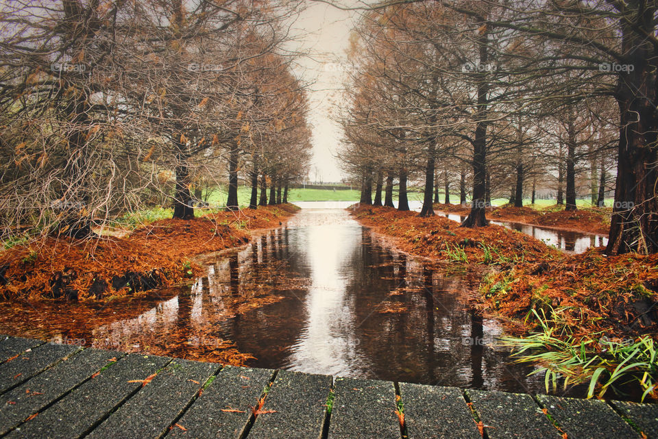 Autumn in Amsterdam