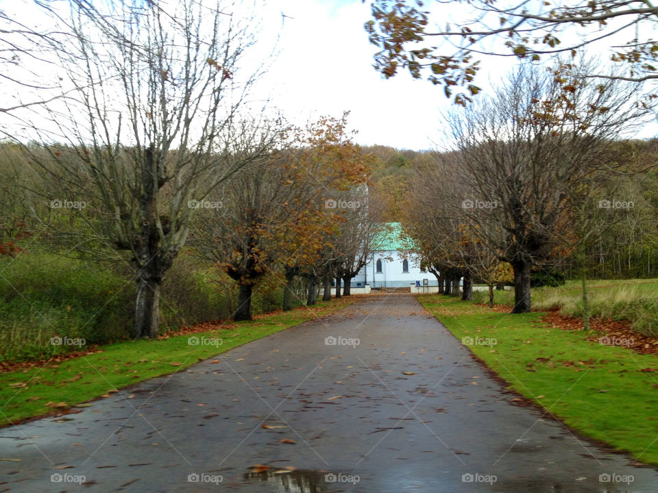 sweden autumn visitsweden kullaberg by cabday