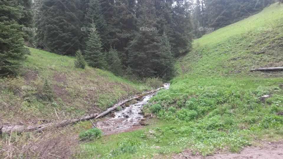 rapid creek