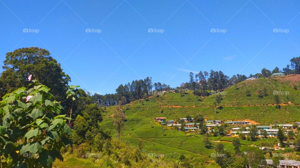 Houses in a mountain