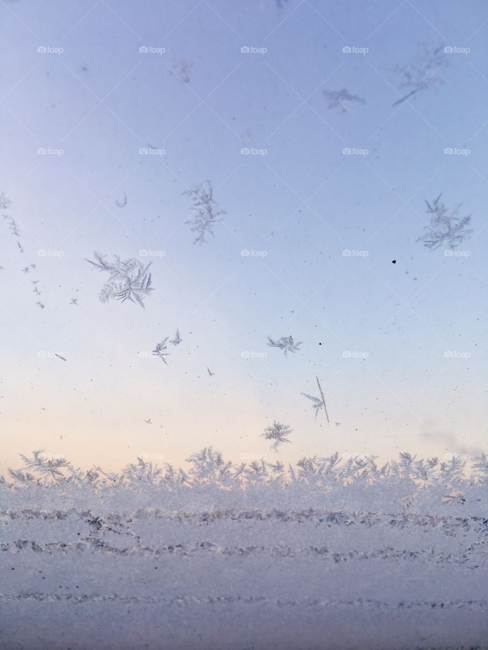 Freezing window details