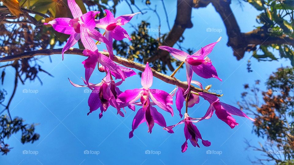 Happy, healthy ,wealthy to all.