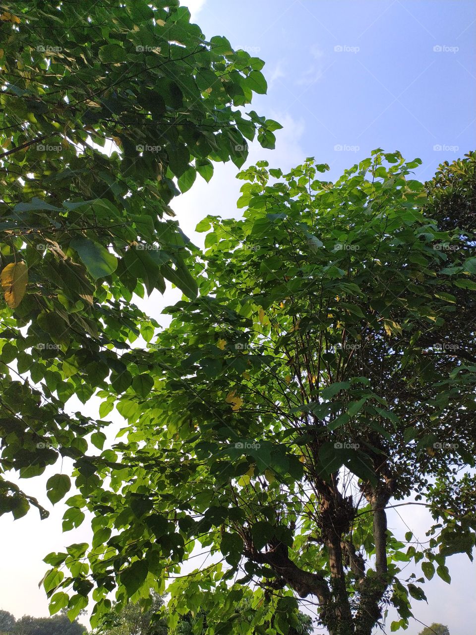 World of nature is certainly much mor beautiful than the world messed by man