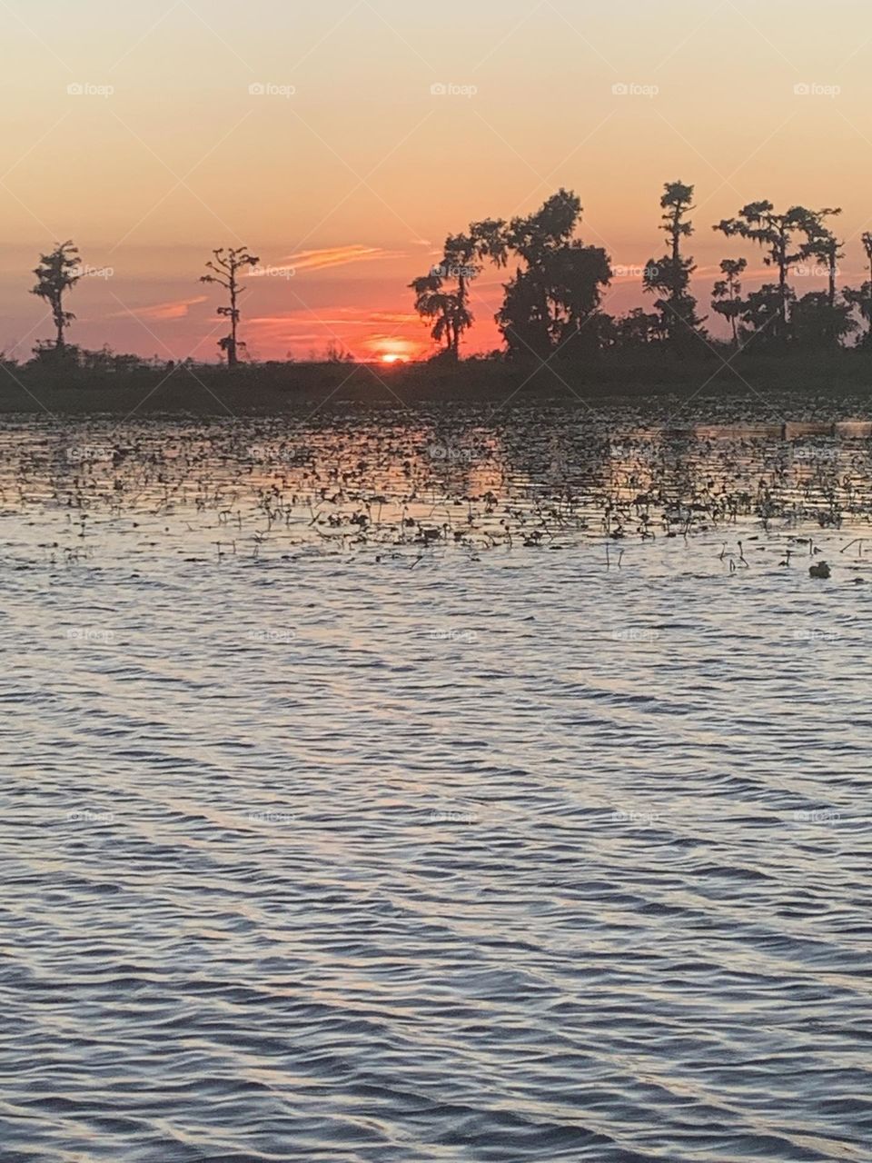 Sunset on the bayou 