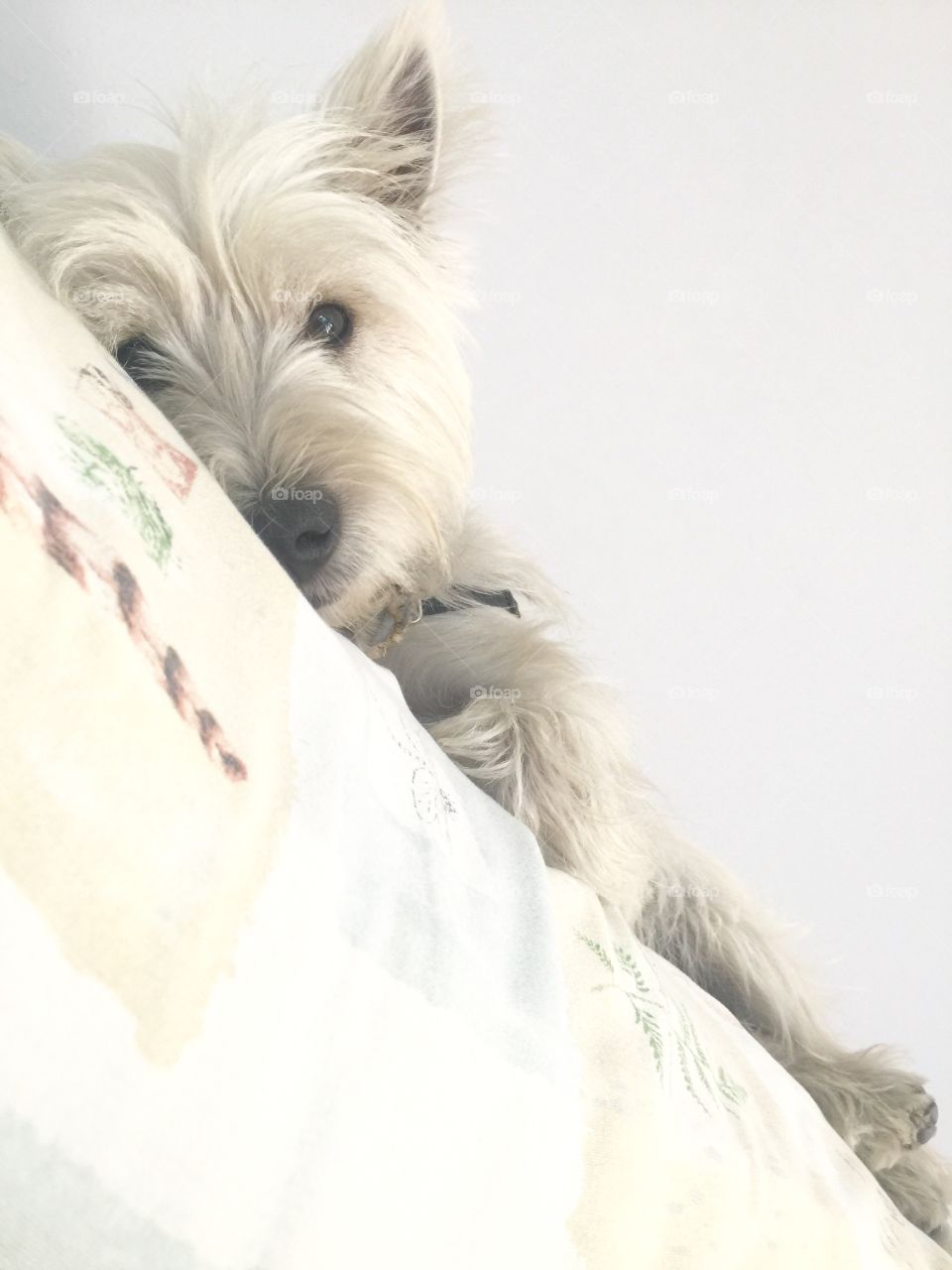 Watching my dad napping 