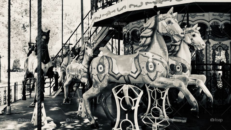 Carousel, Merry go Round