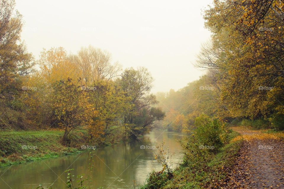 Autumn landscape.  Gloomy  foggy autumn morning by the river