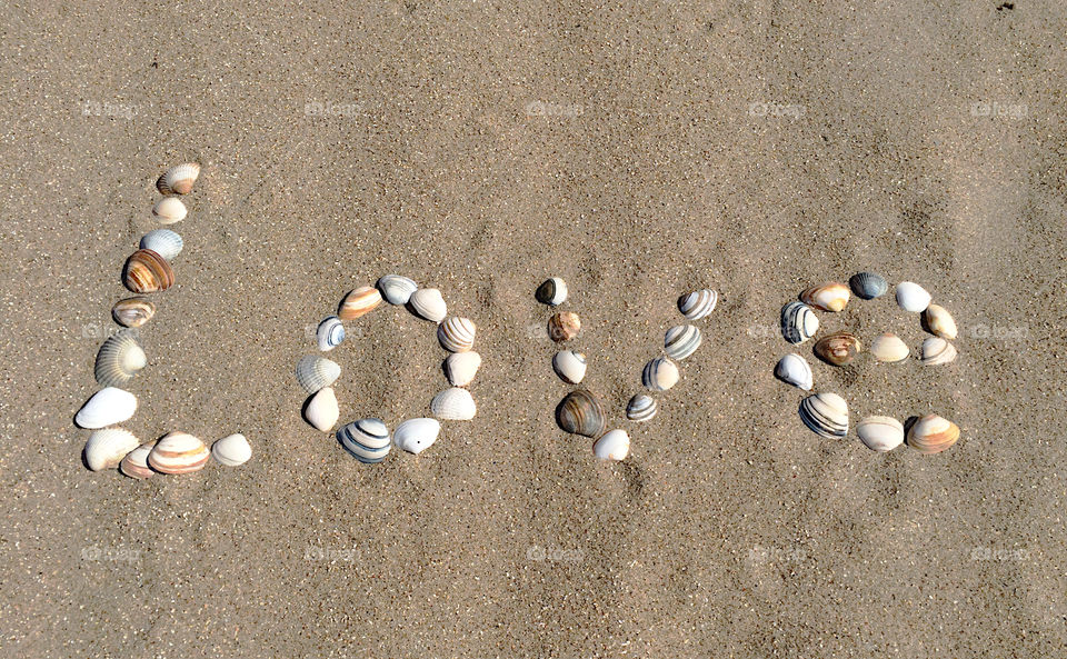 The word love written with shells on the beach