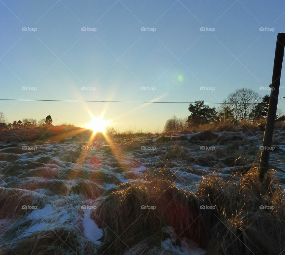 Sunset over a frosty field