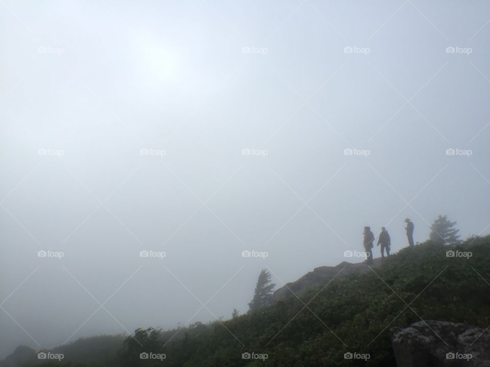 Landscape, Fog, Sky, Nature, Mist