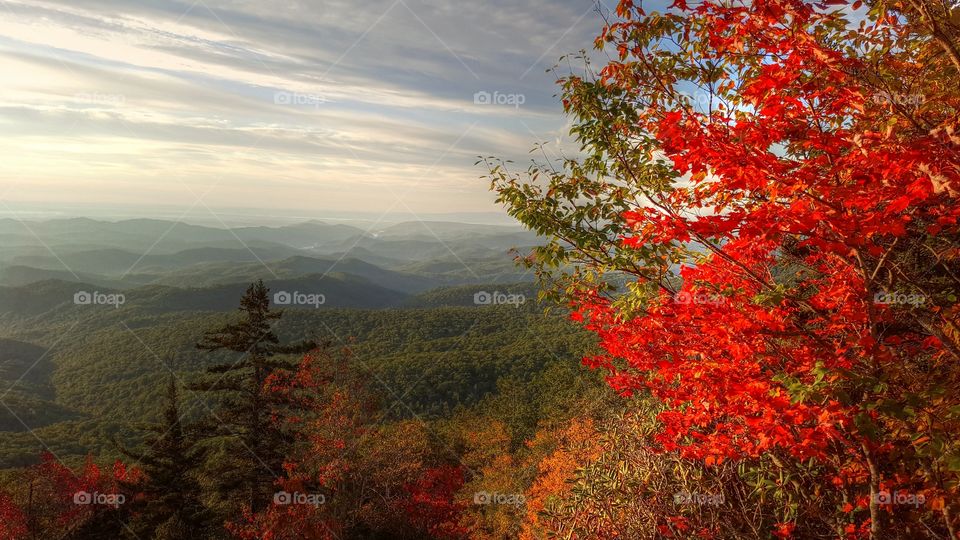Autumn begins in the Blue Ridge Mountains