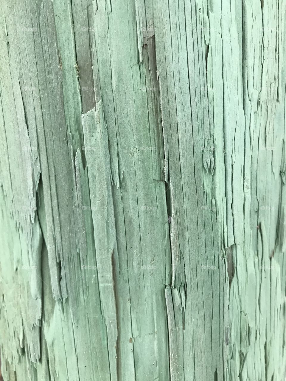 Green wood