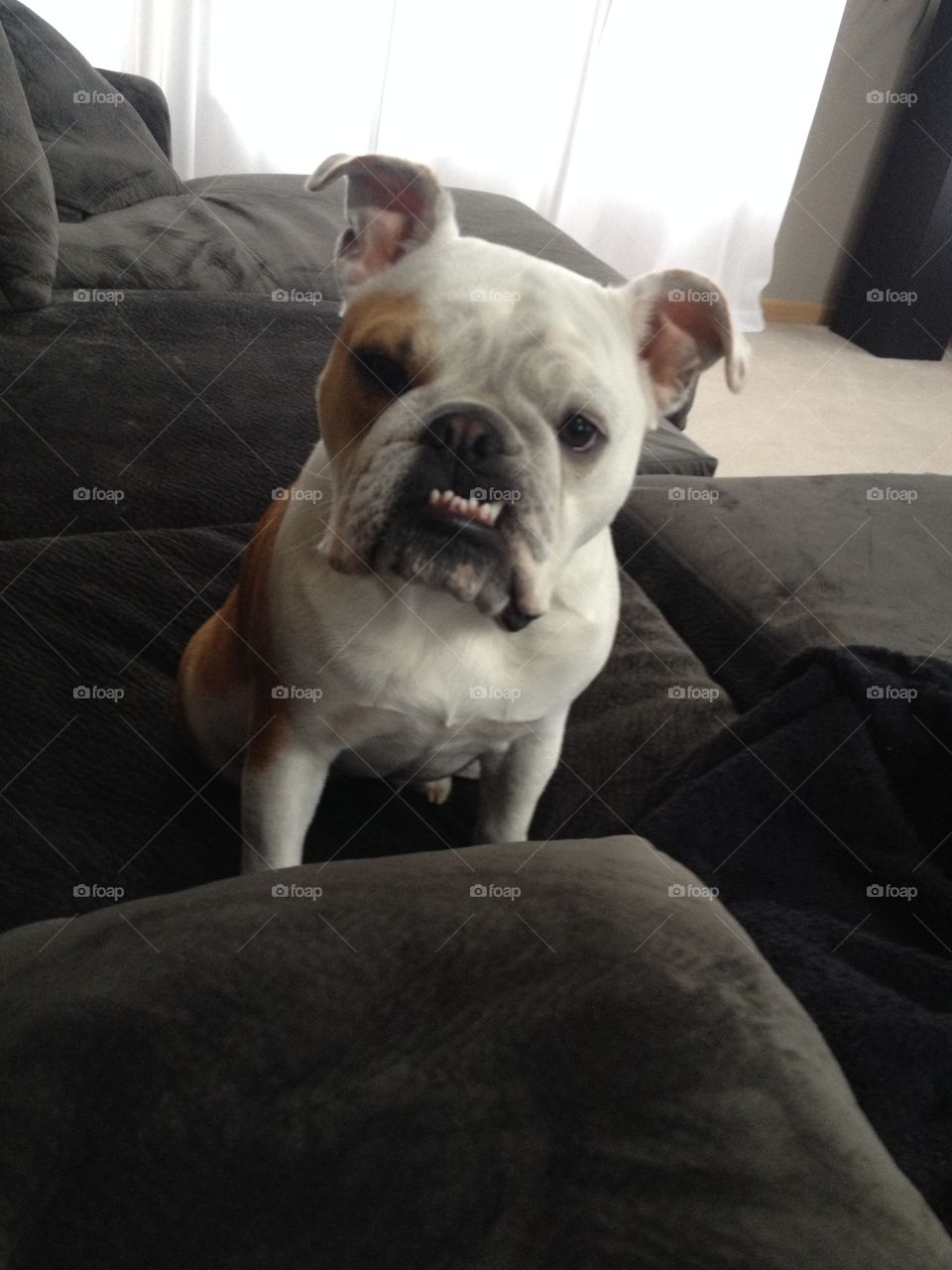 What are you looking at?