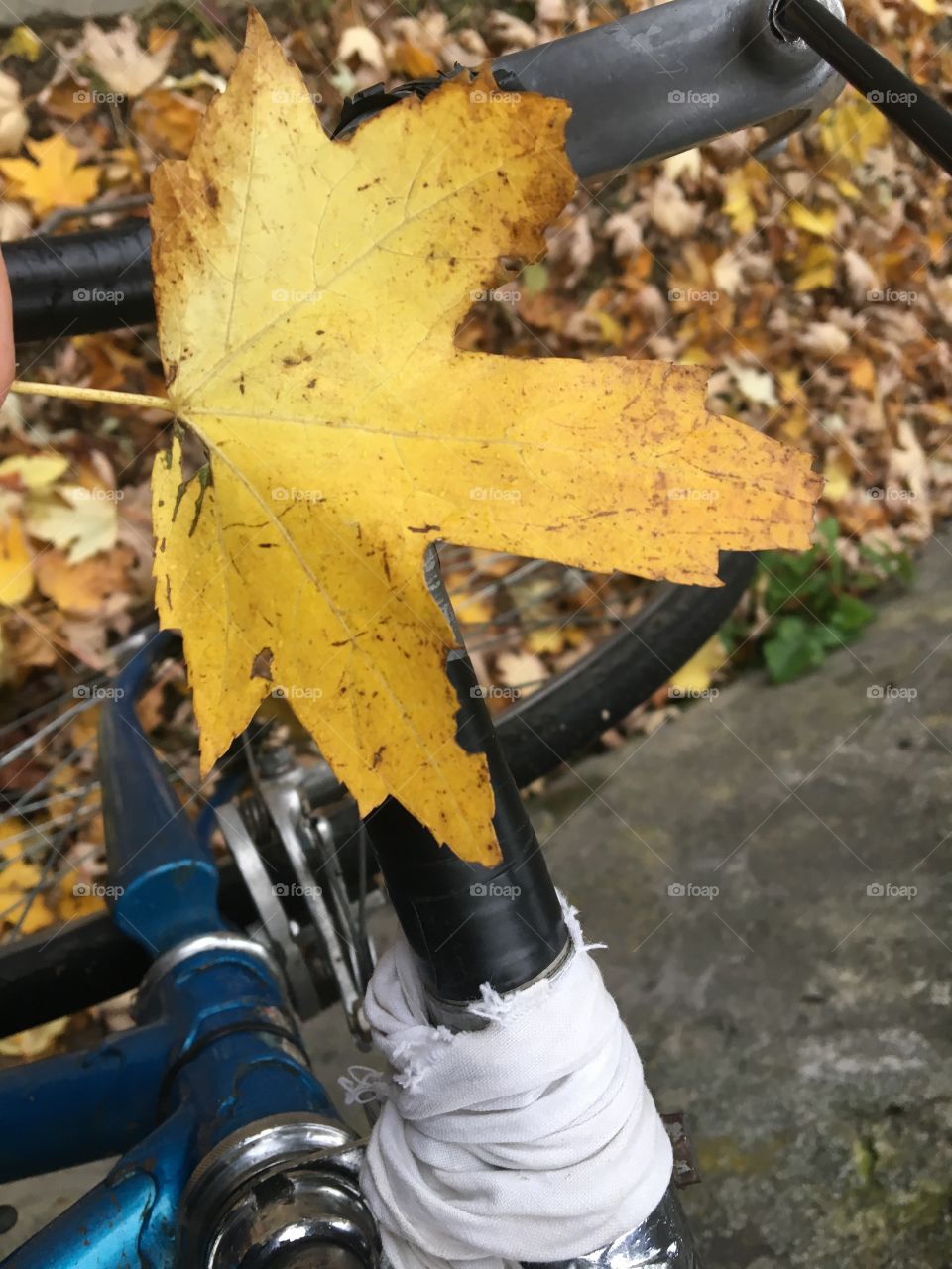 Осень на велосипеде 