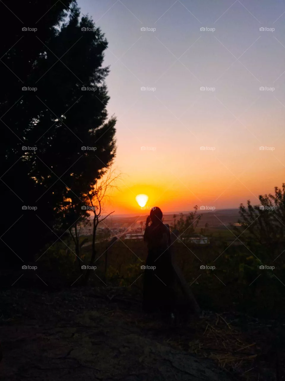 sunset