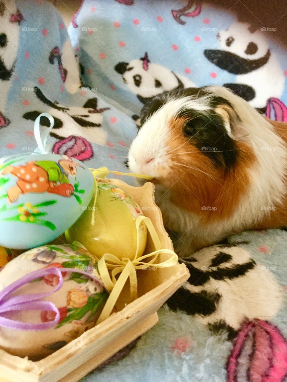 Playing with Easter Eggs 