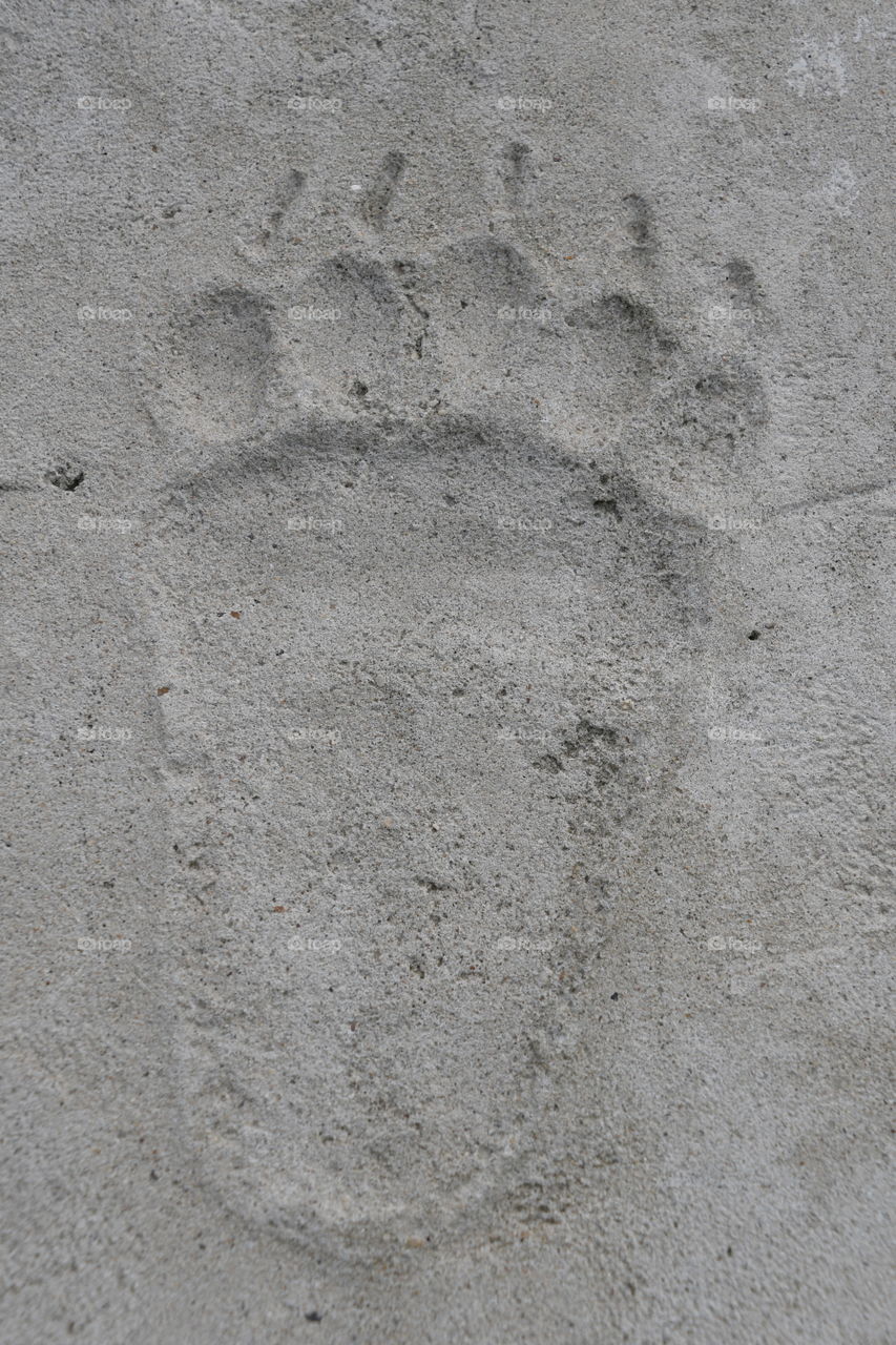 footprint