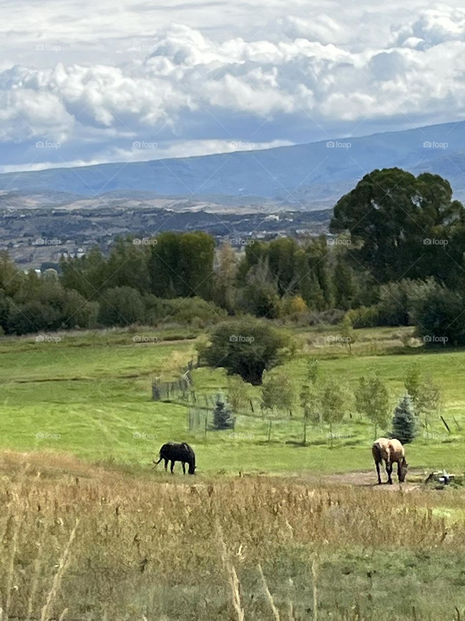 Farm in Utah 