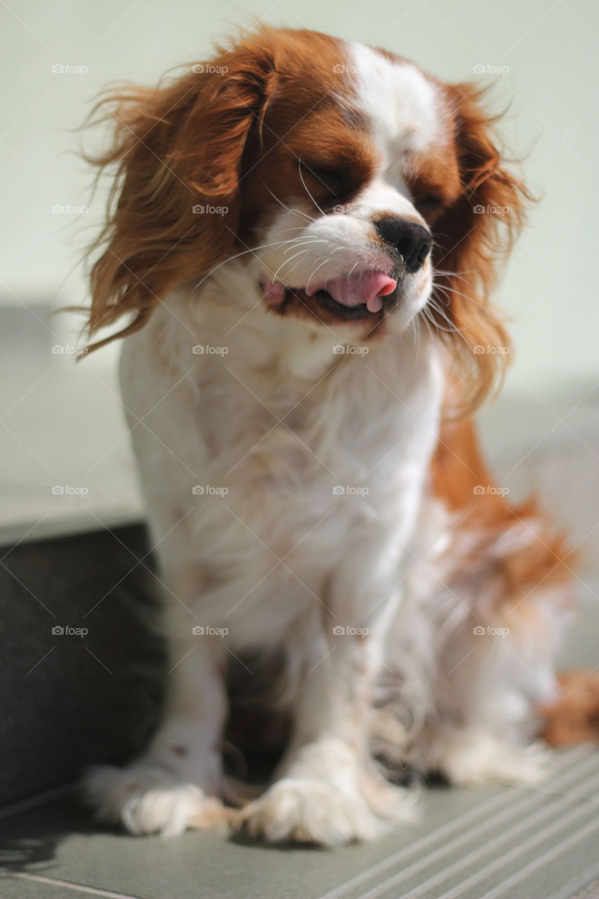 I can curl my tongue :)