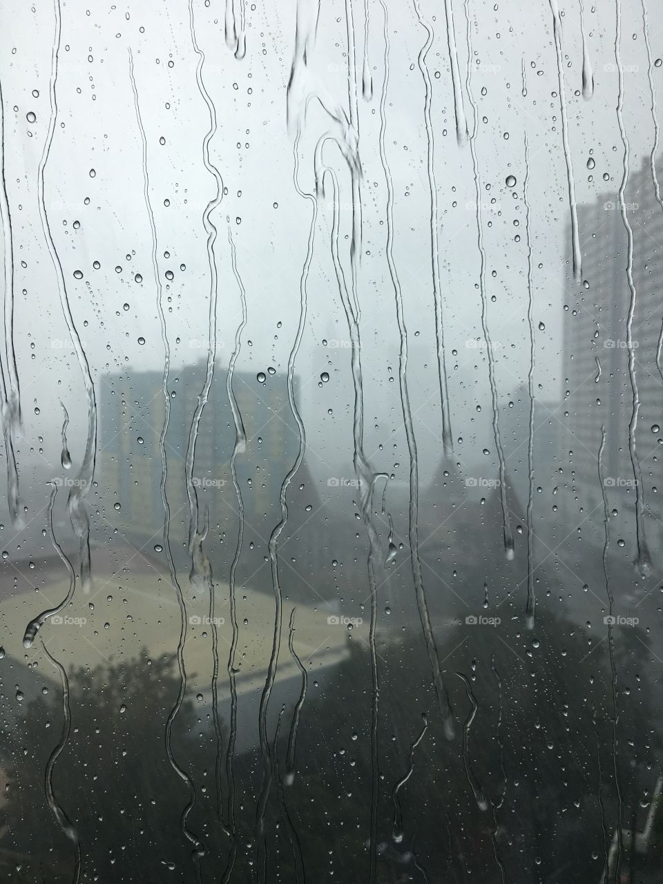 summer rain in the hot city 