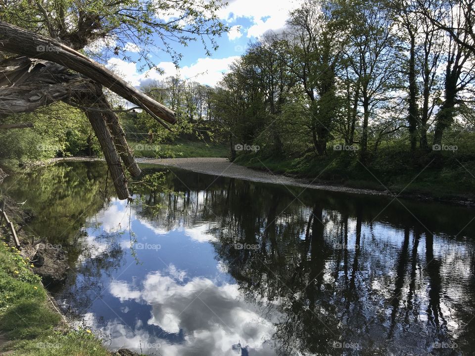 Riverbank ... clouds in the sky today reflecting in the river 