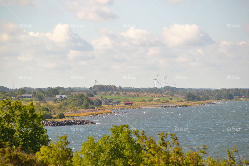 Water, Landscape, Tree, Lake, River