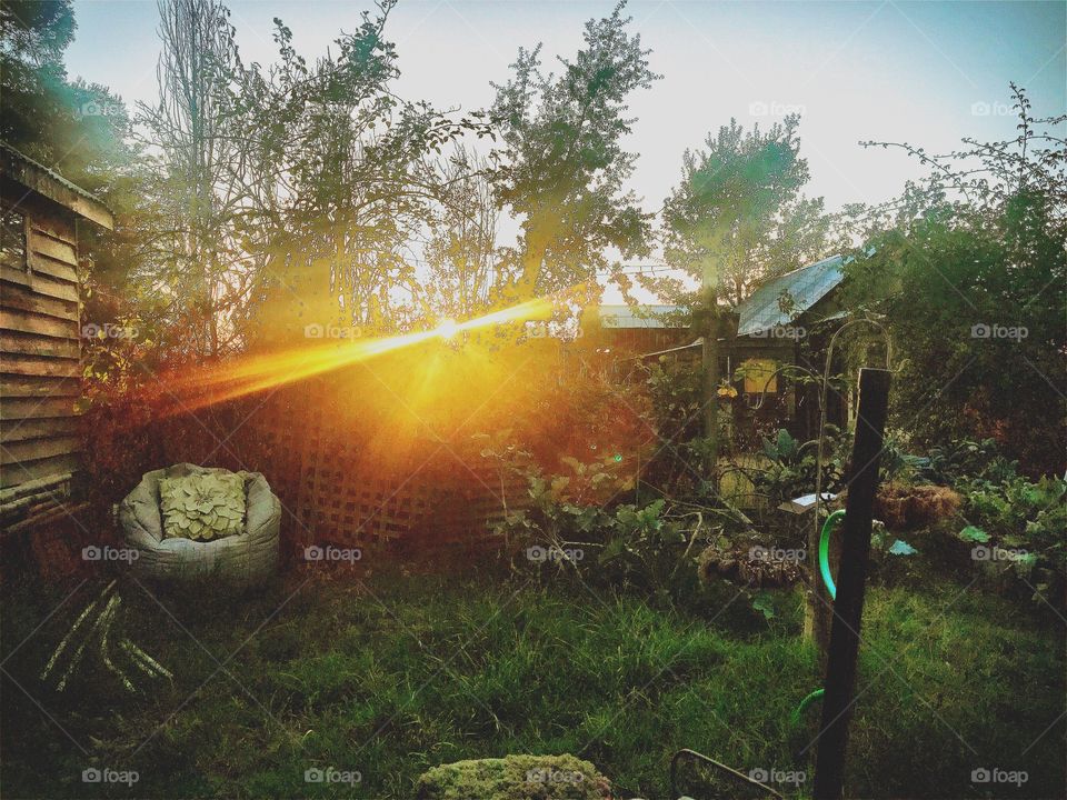Backyard Sunset Vibes