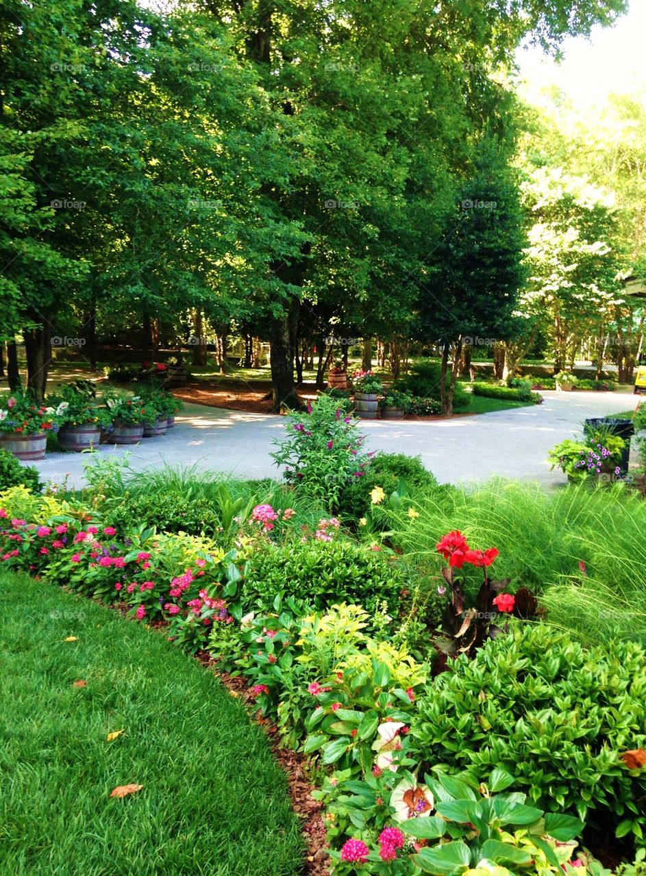 Flower garden walkway path