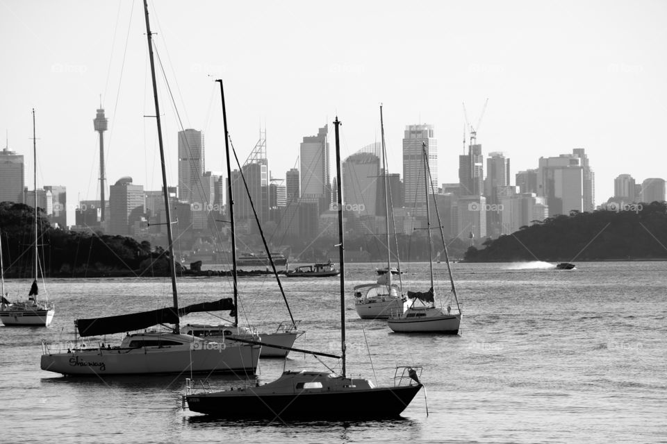 Super fast Sailing boat and adventurous experience