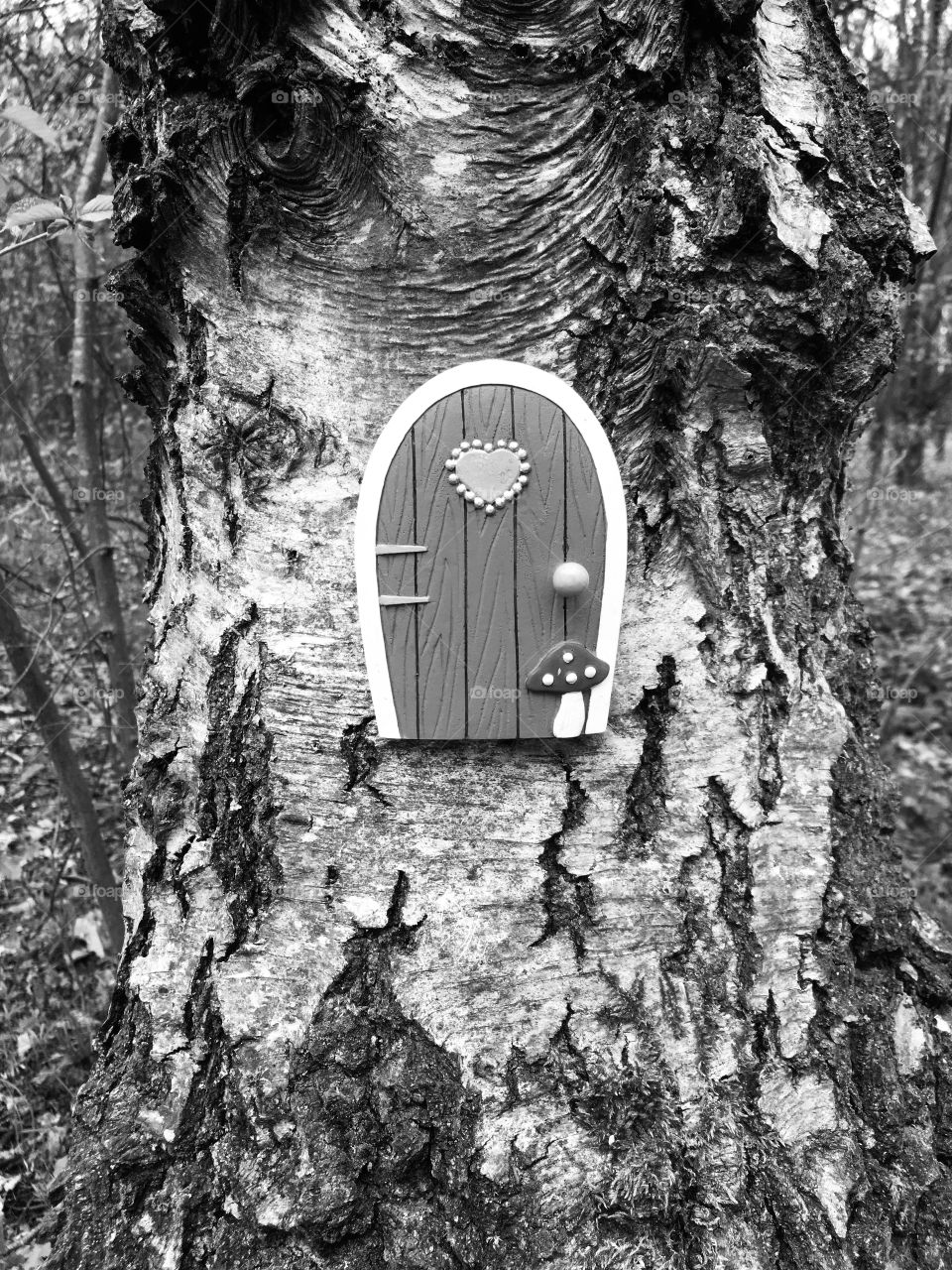 A mysterious fairy door on an old and beautiful tree full of character and wisdom
