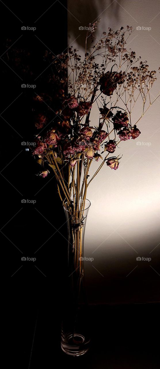 Lenben und Sterben in einem Blick