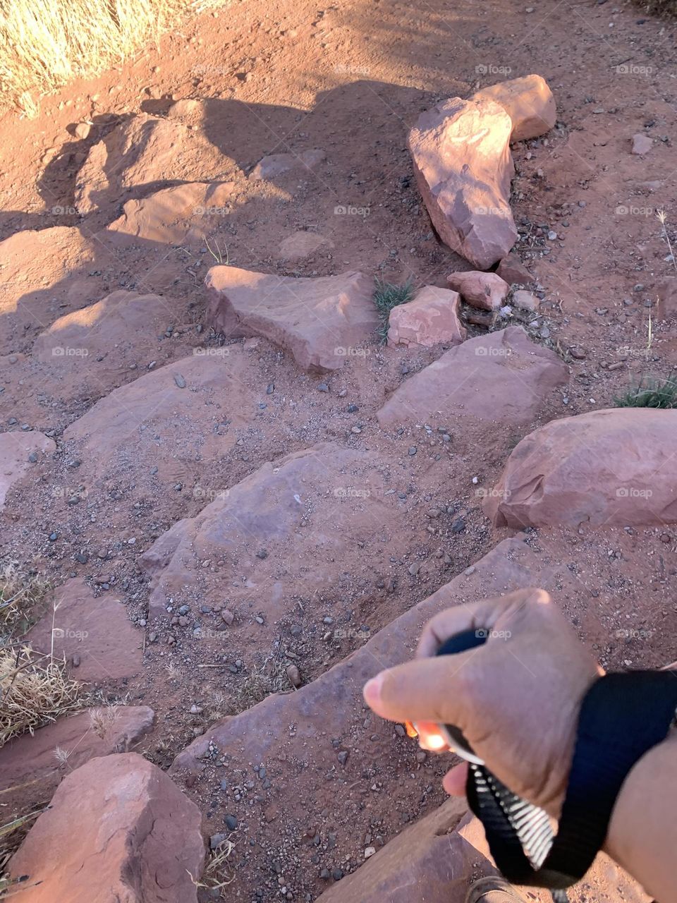 Exploring Arizona beautiful trails.