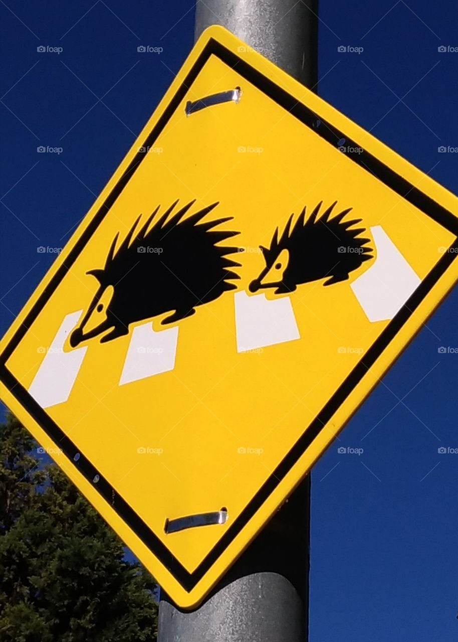 road signs, Be careful, hedgehogs,