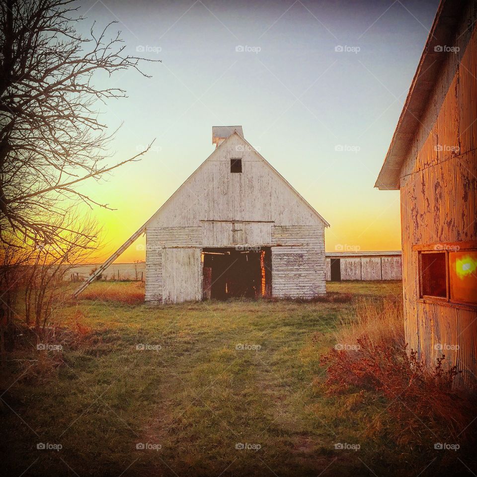 Corn crib at dawn