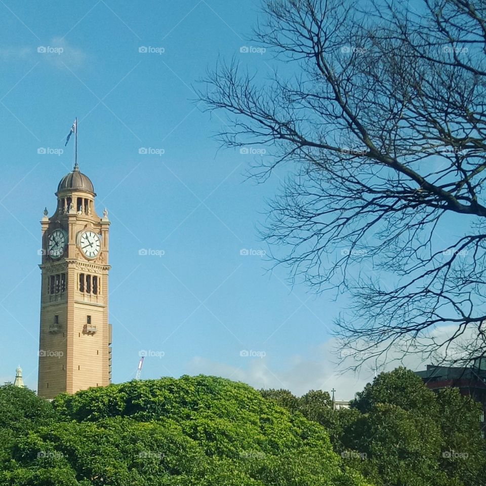 Town Hall clock tower surrounded by beautiful scenery