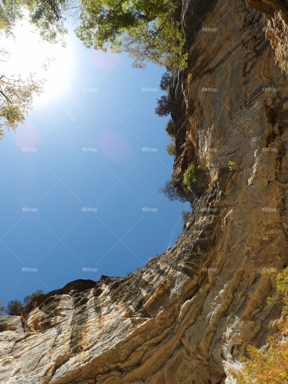 Looking up Hemmed In Holler