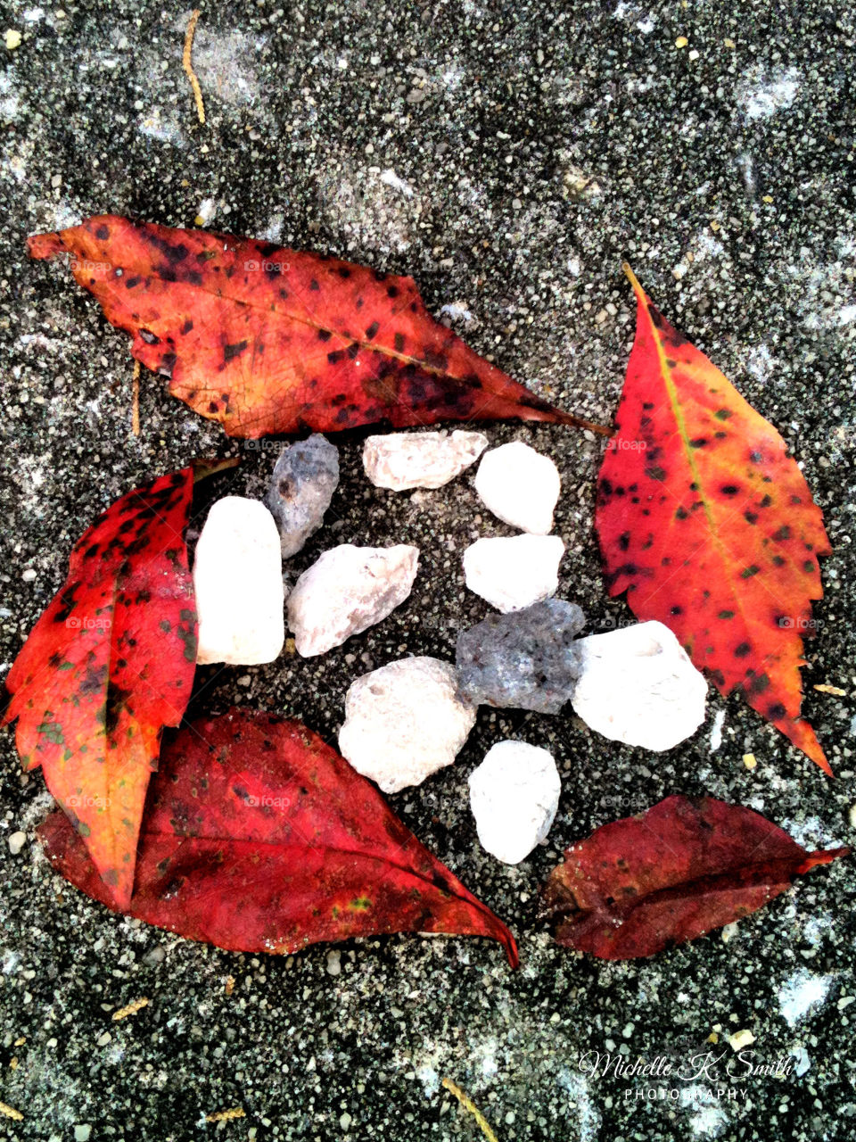 Red Leaves and Rock Art 