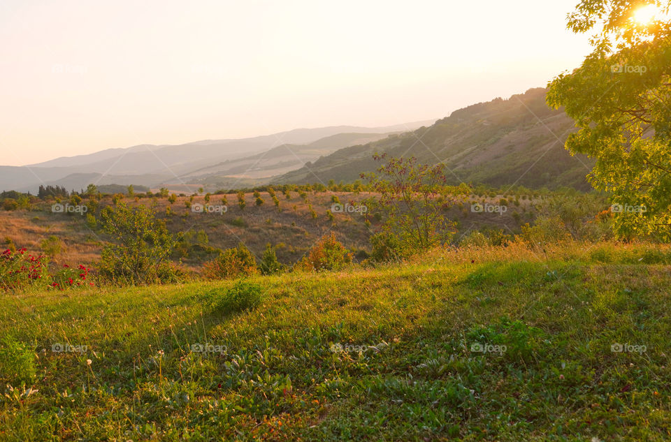 landscape in Toscana 