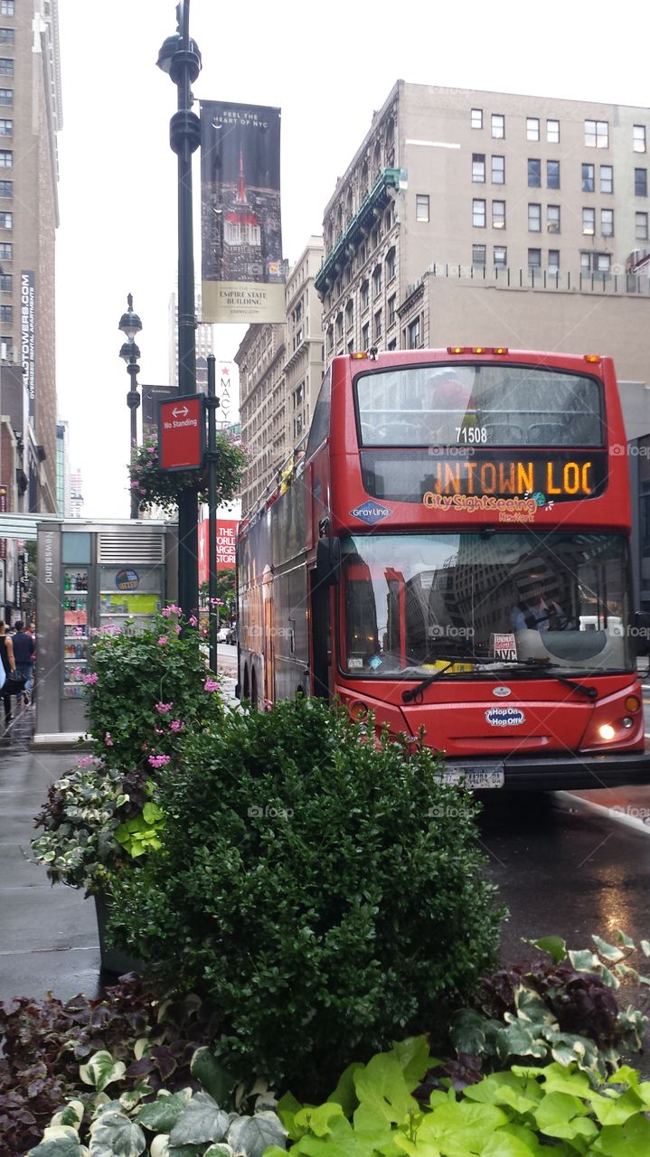 autumn rein reflection