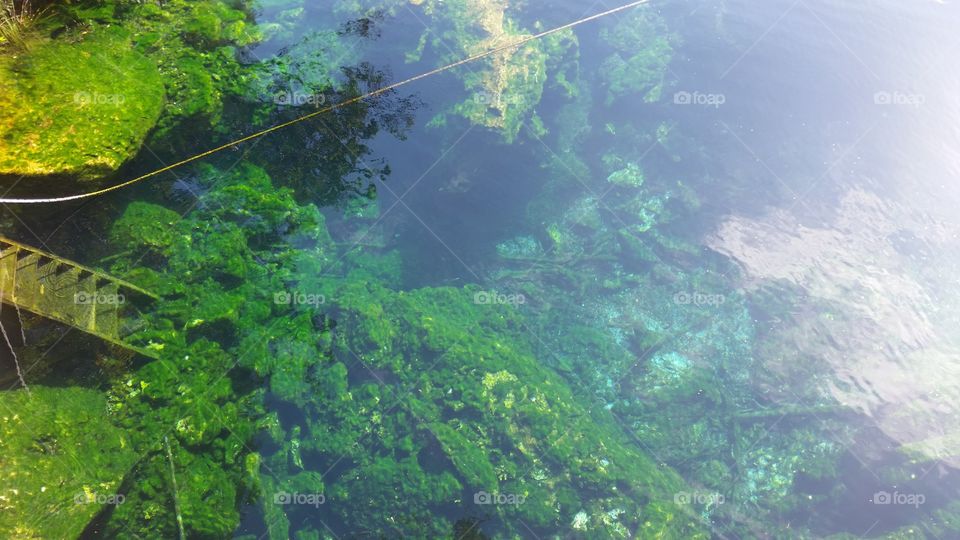 underwater mossy stairs