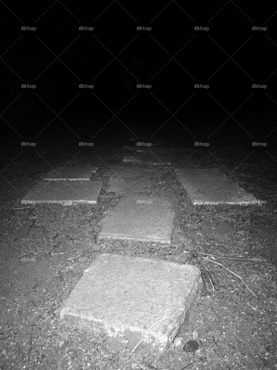 Dark muddy path late at night wish a flash to really show all the dirt and sticks laying around the slabs on the floor