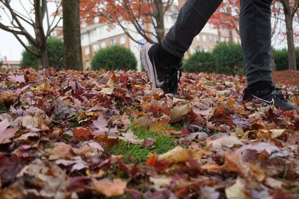 Autumn#leaves#colors#human#legs